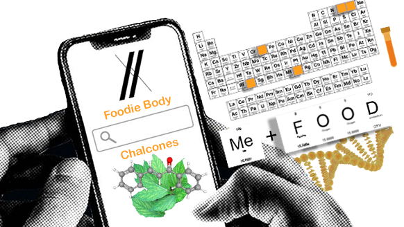Chalcones Ashitaba Foodie Body Bioinformatics