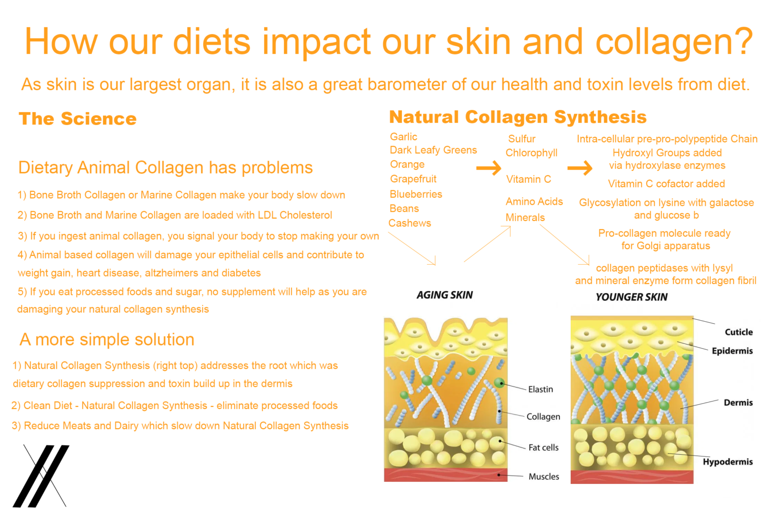 How Diet effects Natural Collagen Production and our Skin CirclesX